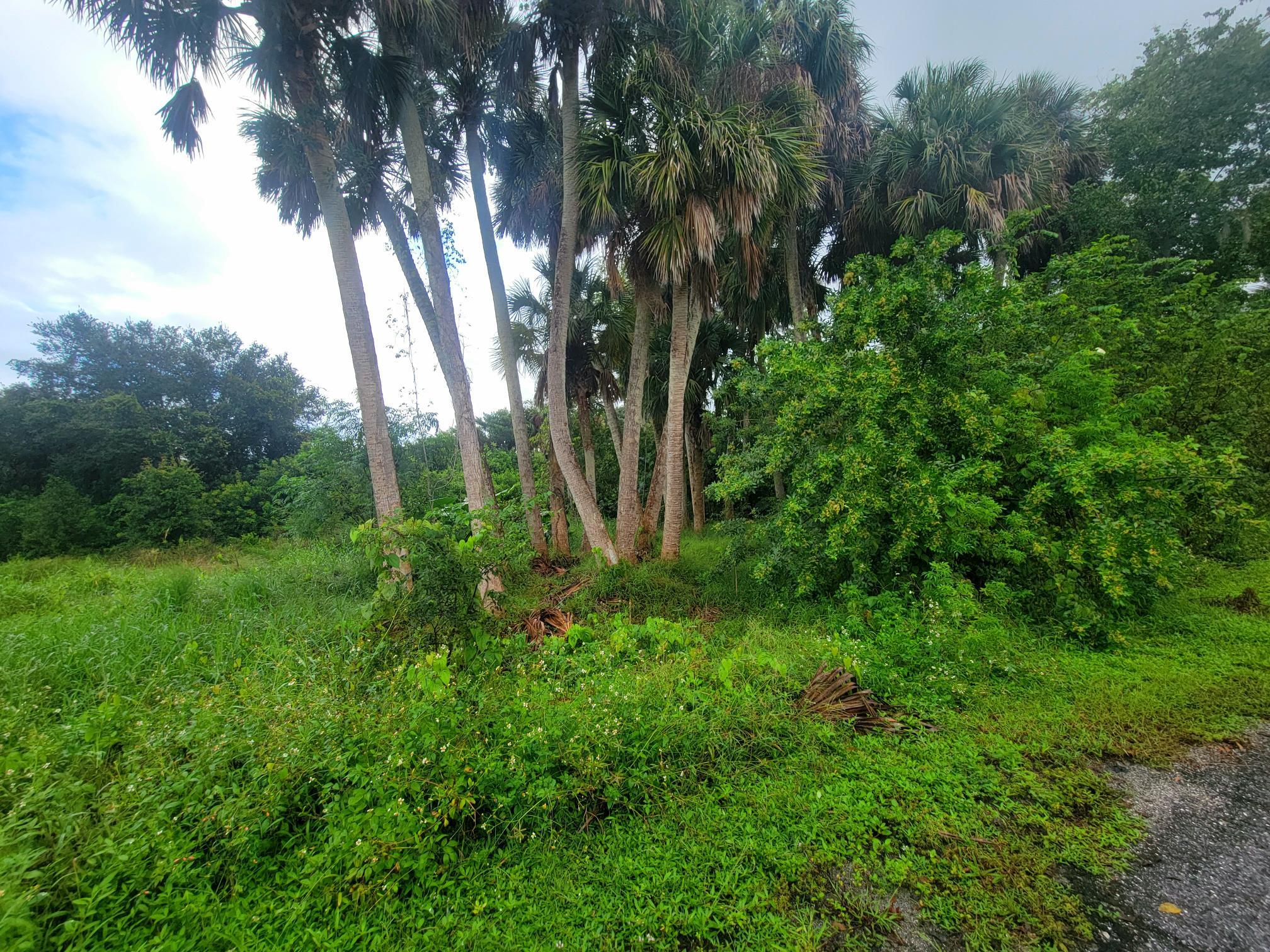 9097 Southeast 67th Way Okeechobee, FL 34974 - Photo 4 of 4 a view of backyard with green space