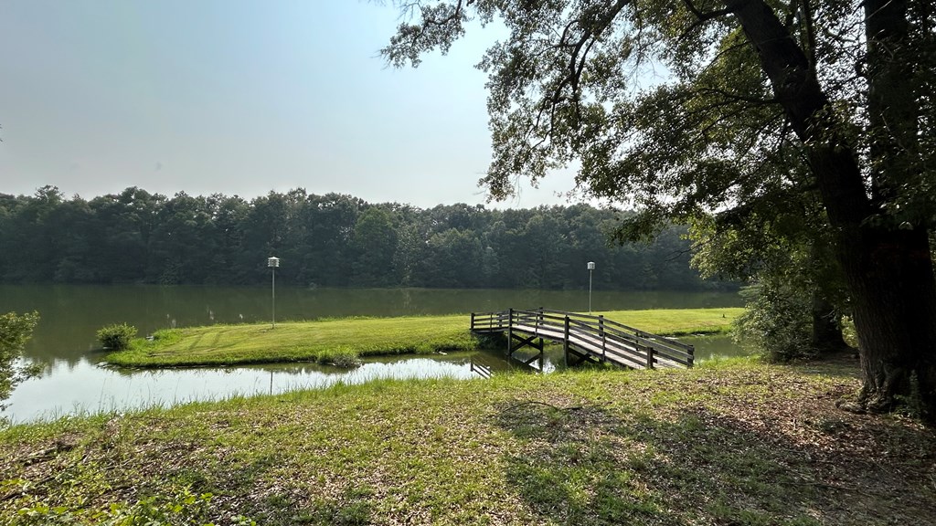 6836 North Co Road Midland City, AL 36350 - Photo 3 of 13