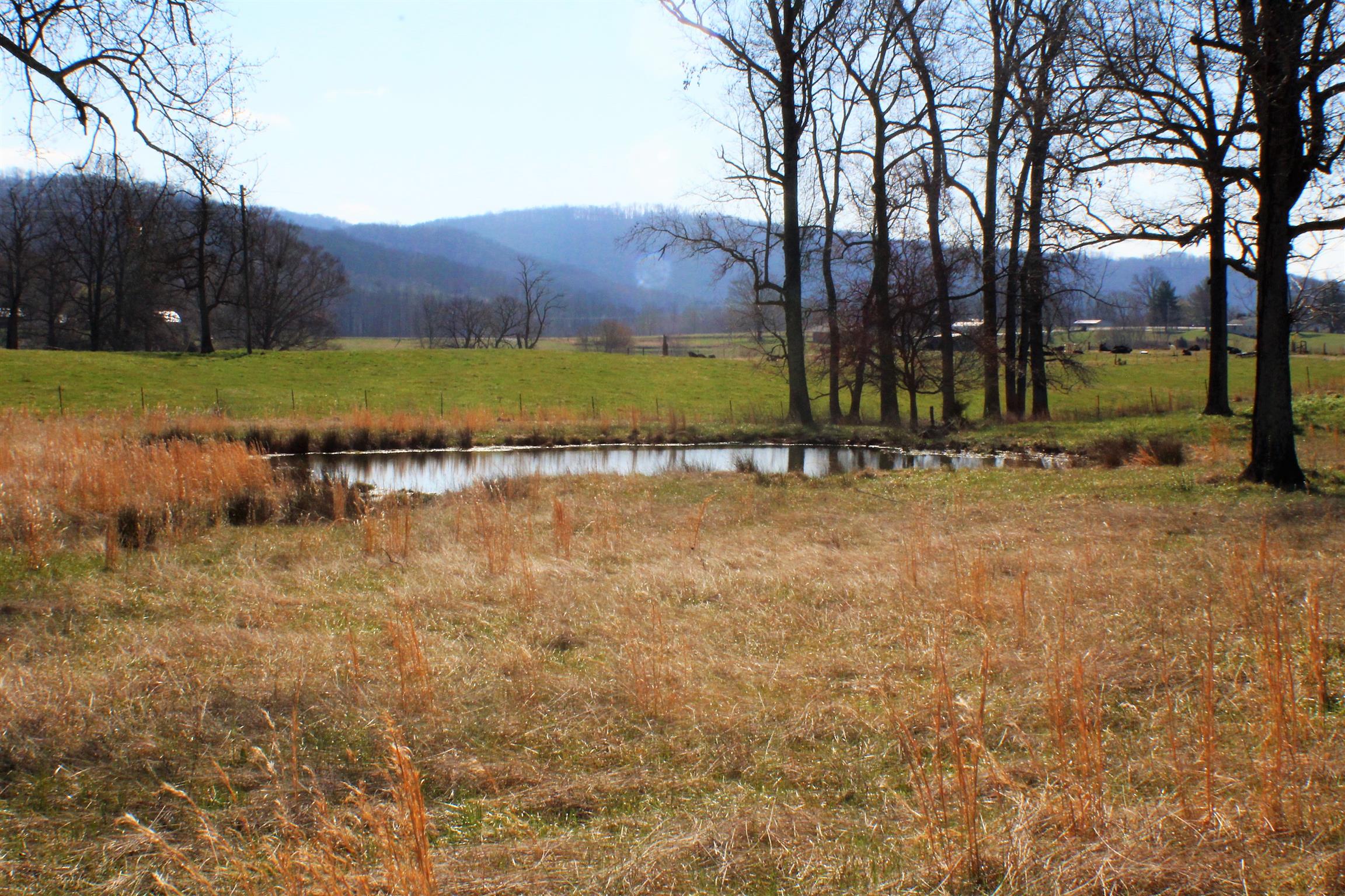 2409 Randolph Road Cookeville, TN 38506 - Photo 9 of 18 Gallery Image 9