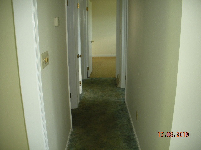 386 Honeysuckle Road Elkton, VA 22827 - Photo 8 of 18 Gallery Image 8