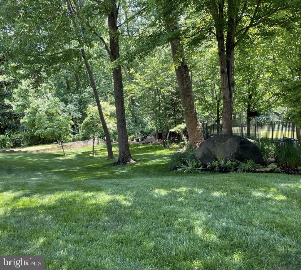 4520 Tulip Way Ellicott City, MD 21043 - Photo 53 of 63 Rear yard in summer