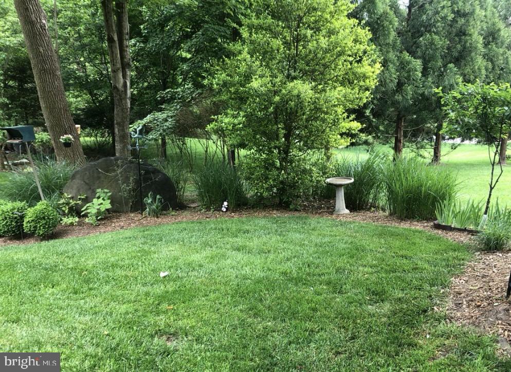 4520 Tulip Way Ellicott City, MD 21043 - Photo 54 of 63 Rear yard in summer