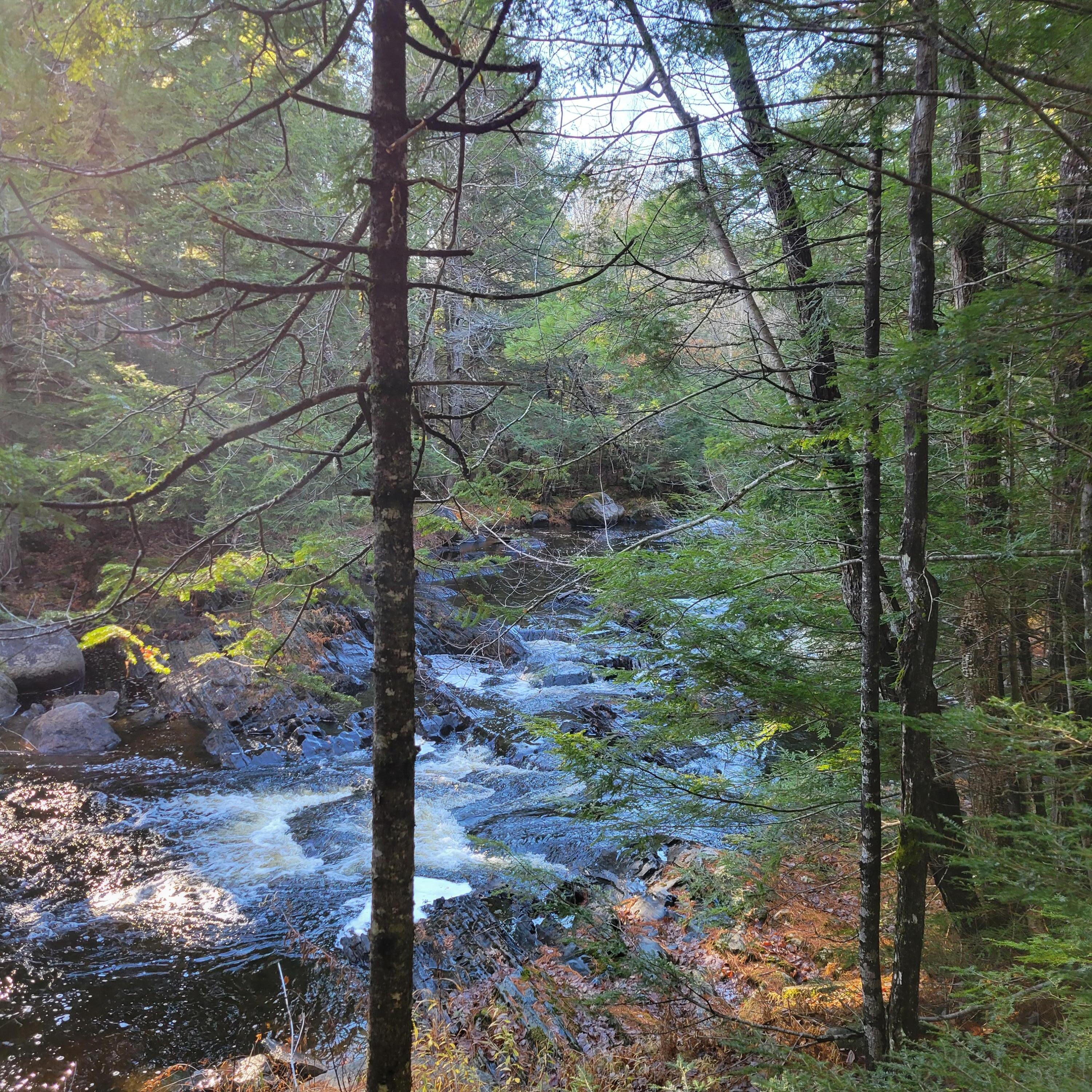 143 East Branch Road Howland, ME 04448 - Photo 18 of 81 20251108_135916