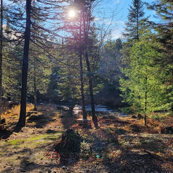 143 East Branch Road Howland, ME 04448 - Photo 4 of 81 Fall sunset