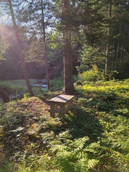 143 East Branch Road Howland, ME 04448 - Photo 49 of 81 East Branch Seboeis (41)