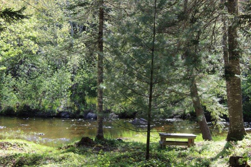 143 East Branch Road Howland, ME 04448 - Photo 5 of 81 The Front Yard