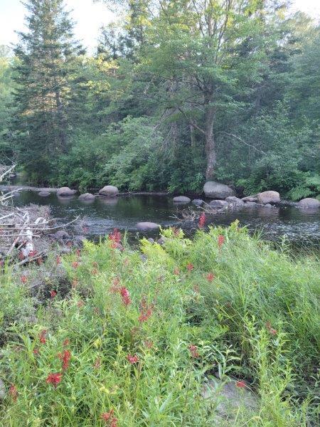 143 East Branch Road Howland, ME 04448 - Photo 51 of 81 East Branch Seboeis (43)