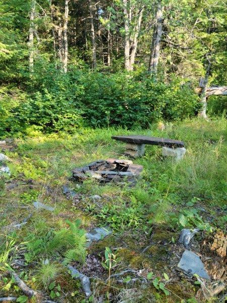 143 East Branch Road Howland, ME 04448 - Photo 52 of 81 East Branch Seboeis (48)