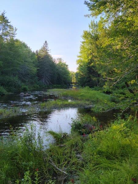 143 East Branch Road Howland, ME 04448 - Photo 54 of 81 East Branch Seboeis (46)