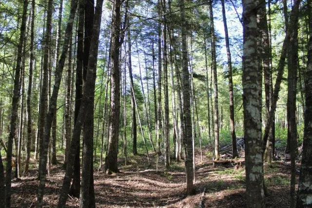 $245,000 | 143 East Branch Road, Howland, ME 04448
