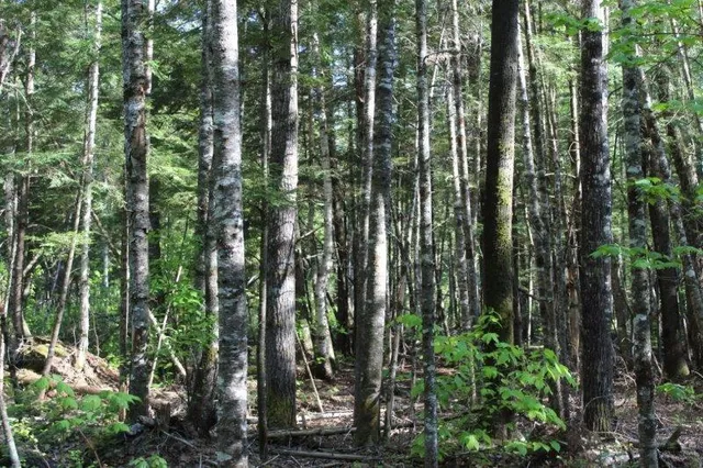 $245,000 | 143 East Branch Road, Howland, ME 04448