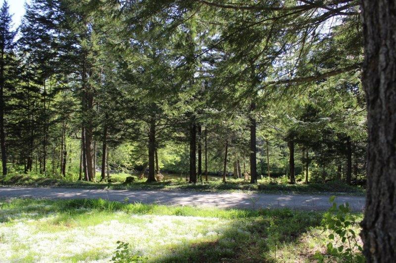 143 East Branch Road Howland, ME 04448 - Photo 58 of 81 East Branch Seboeis (62)