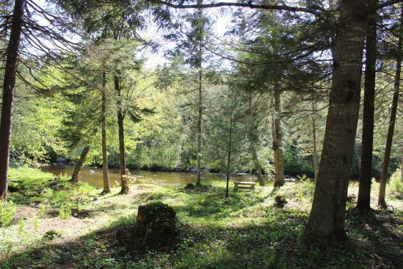 143 East Branch Road Howland, ME 04448 - Photo 6 of 81 The Front Yard