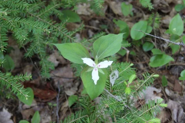 $245,000 | 143 East Branch Road, Howland, ME 04448