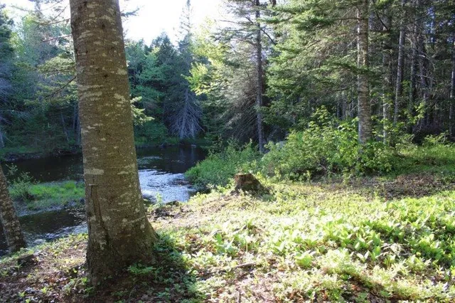 $245,000 | 143 East Branch Road, Howland, ME 04448