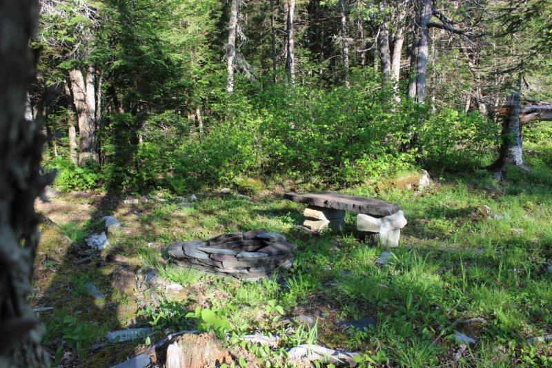 143 East Branch Road Howland, ME 04448 - Photo 63 of 81 East Branch Seboeis (102)