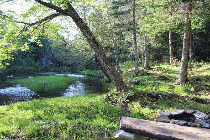 143 East Branch Road Howland, ME 04448 - Photo 66 of 81 East Branch Seboeis (108)