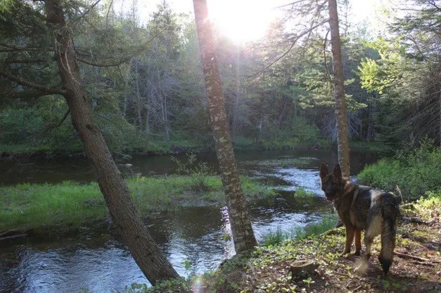 $245,000 | 143 East Branch Road, Howland, ME 04448