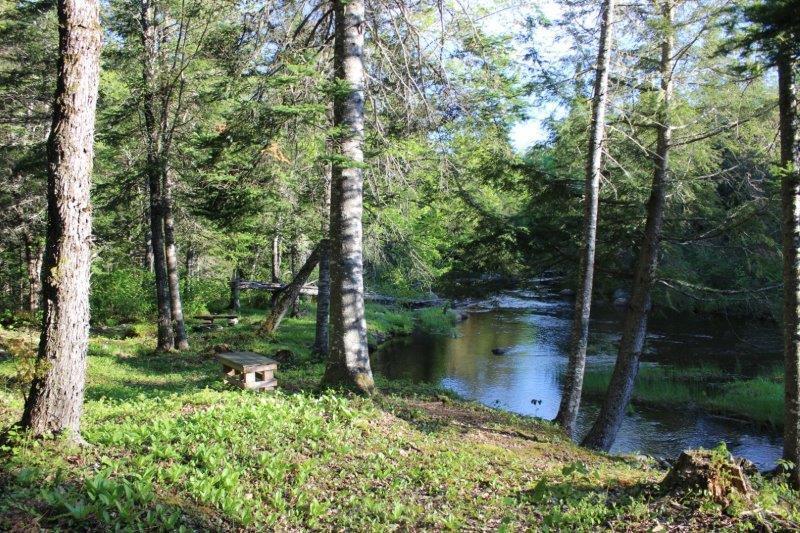 143 East Branch Road Howland, ME 04448 - Photo 68 of 81 East Branch Seboeis (115)