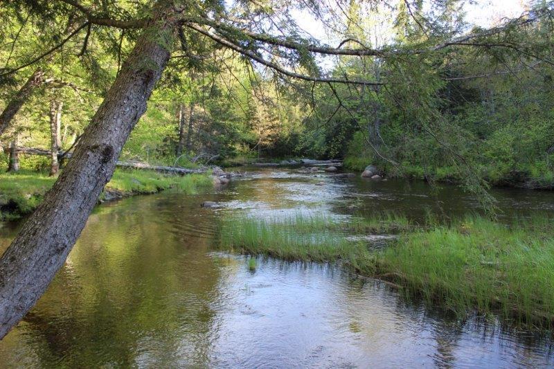 143 East Branch Road Howland, ME 04448 - Photo 69 of 81 East Branch Seboeis (116)