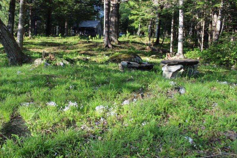 143 East Branch Road Howland, ME 04448 - Photo 8 of 81 The Front Yard