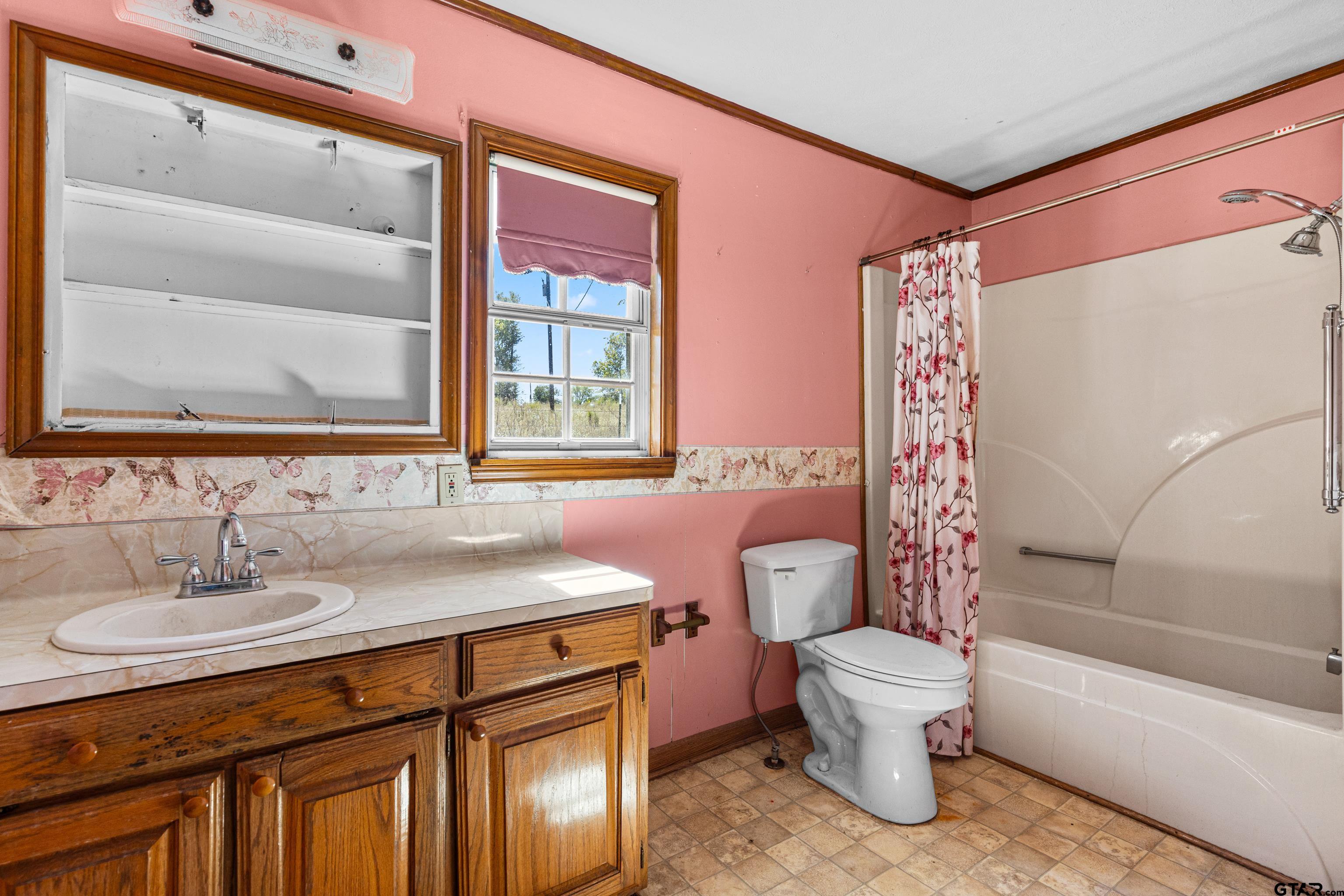 1159 County Road Mount Enterprise, TX 75681 - Photo 14 of 27 a bathroom with a sink toilet and shower