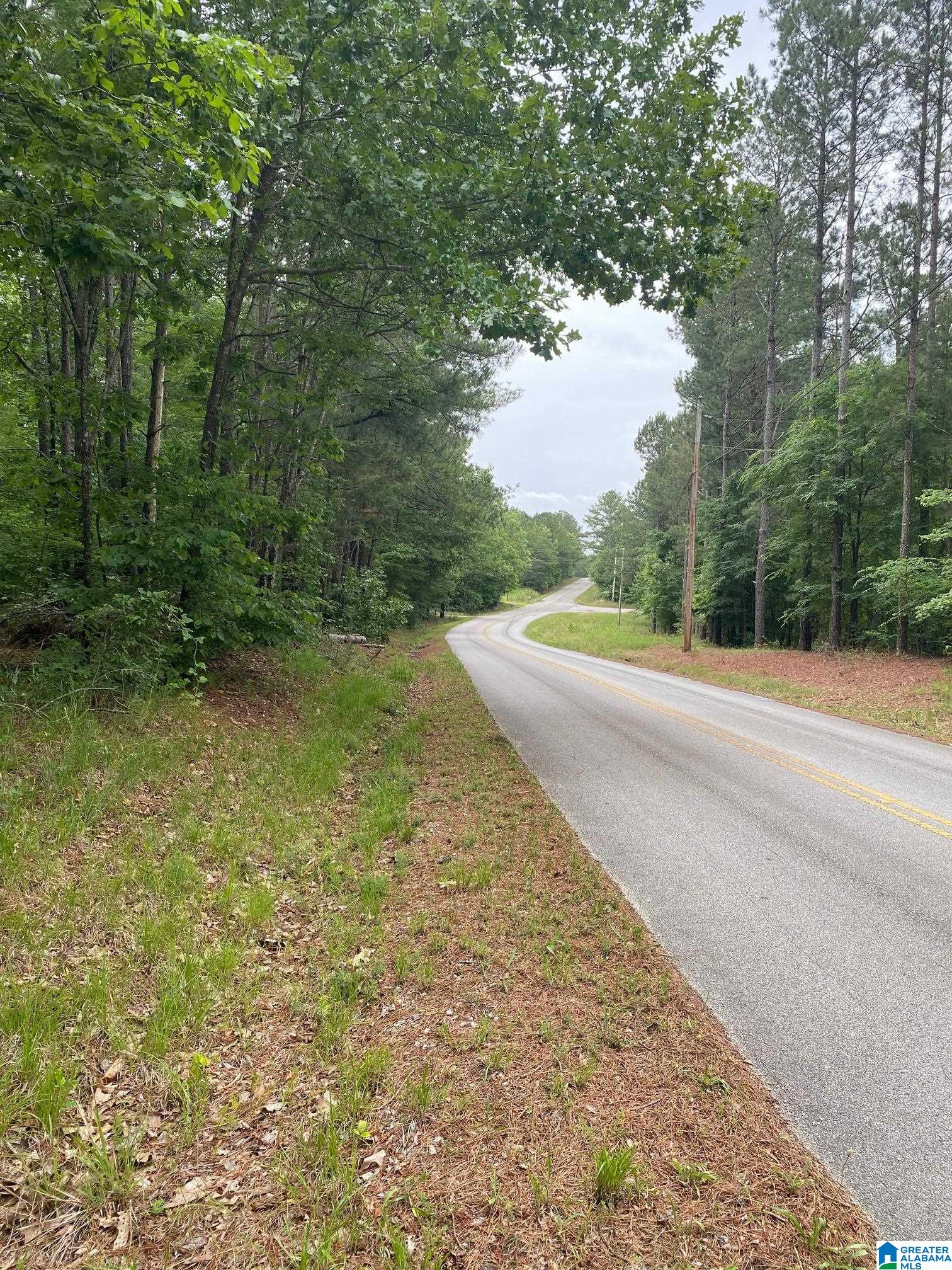 0 Roy Webb Cutoff Road, Unit 2 LOTS Piedmont, AL 36272 - Photo 1 of 10