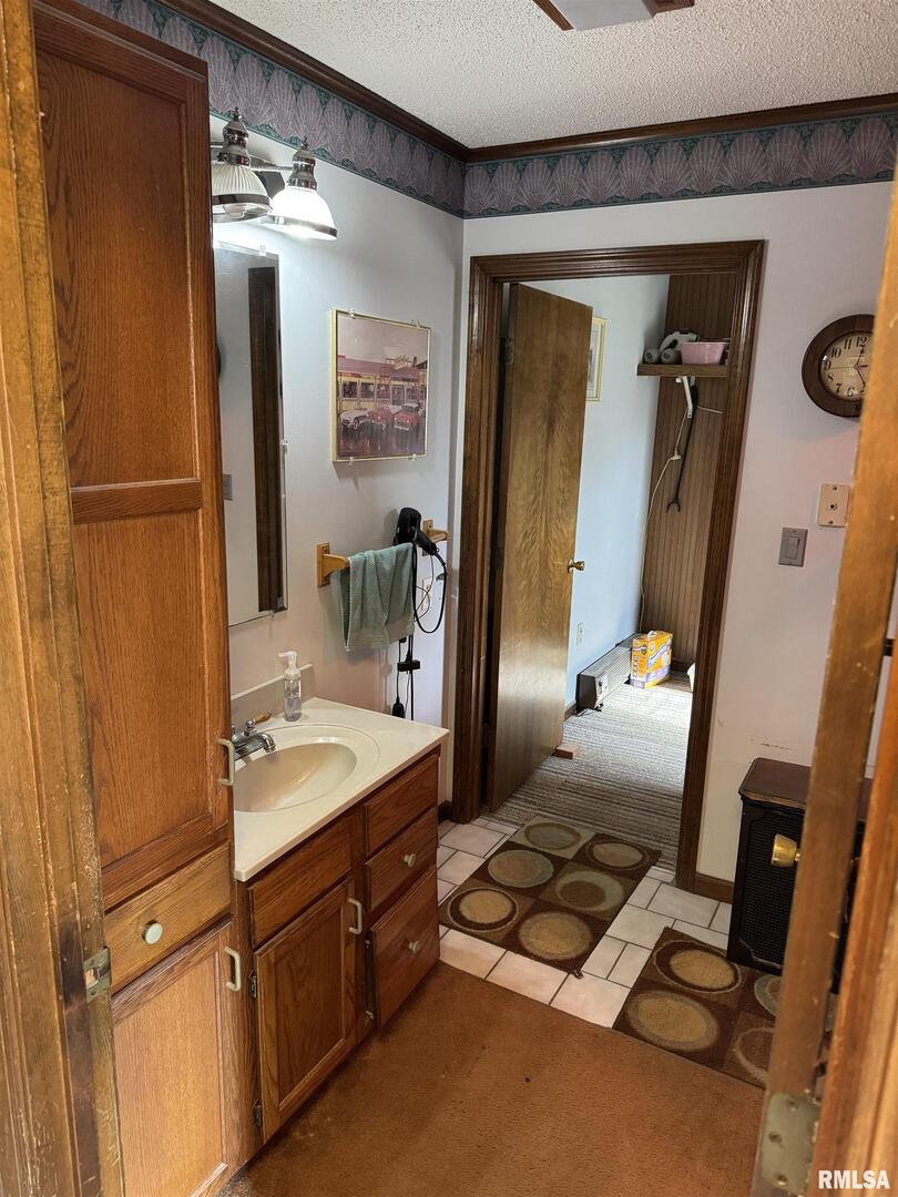 8424 Bolen Store Road Thompsonville, IL 62890 - Photo 8 of 30 a bathroom with a sink a mirror and a shower