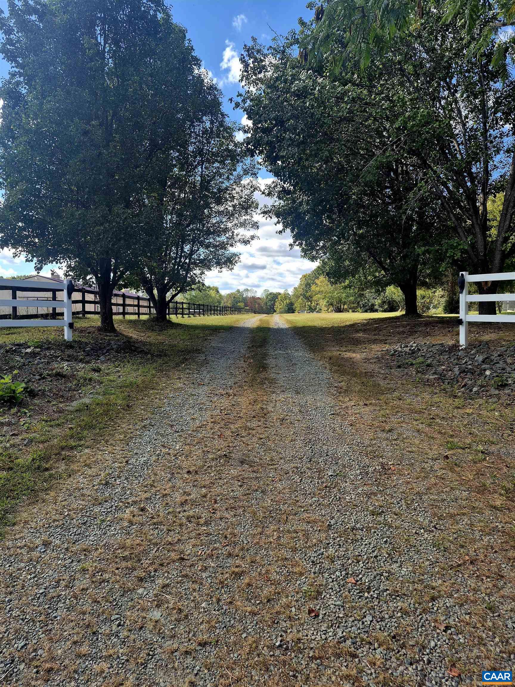 0 Antioch Road Scottsville, VA 24590 - Photo 2 of 5 a view of a tree next to a yard
