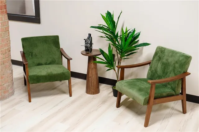 a living room with furniture and a potted plant