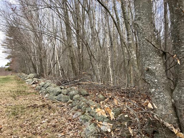 0 New Settlement Road Hiram, ME 04041 - Photo 11 of 12 IMG_1654