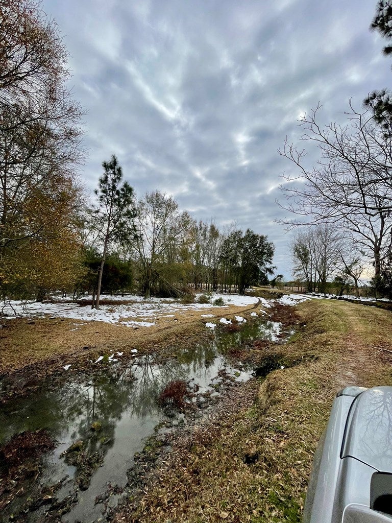 0 LUKE KING Road Enigma, GA 31749 - Photo 9 of 15 Gallery Image 9