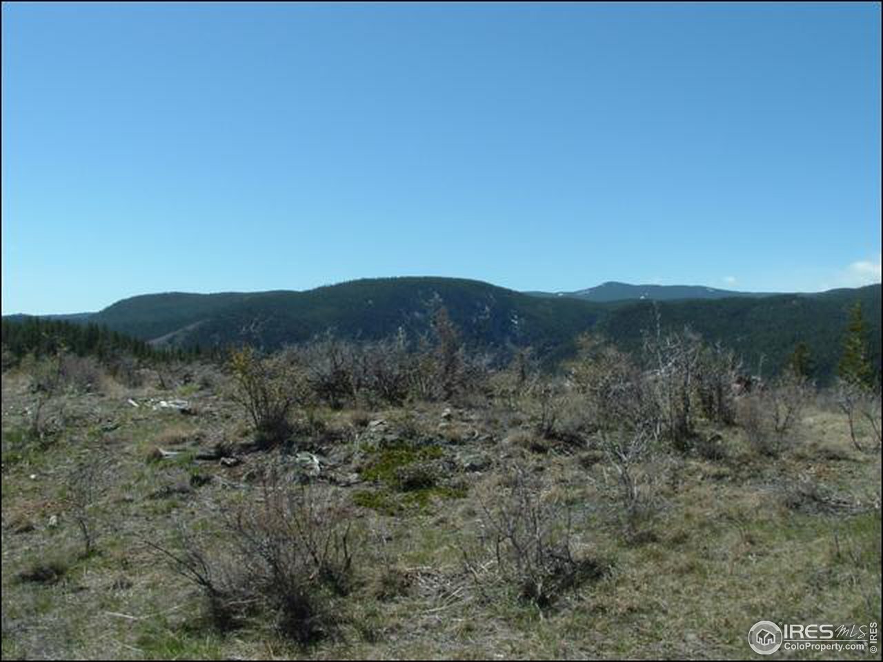 Stove Praire Road Bellvue, CO 80512 - Photo 8 of 15 Gallery Image 8