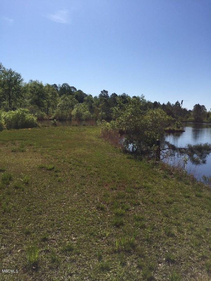 23601 Robert E Lee Road Lucedale, MS 39452 - Photo 23 of 30 IMG_3515