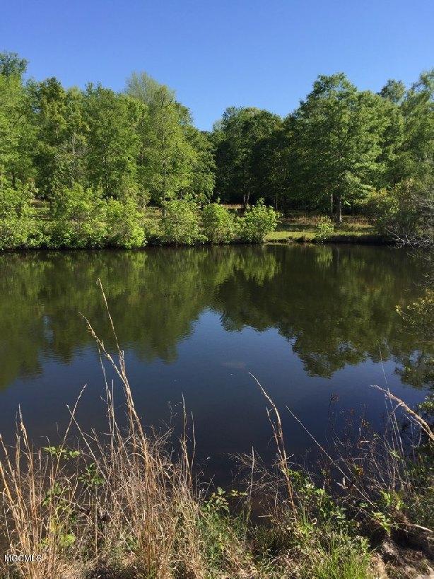 23601 Robert E Lee Road Lucedale, MS 39452 - Photo 24 of 30 IMG_3517