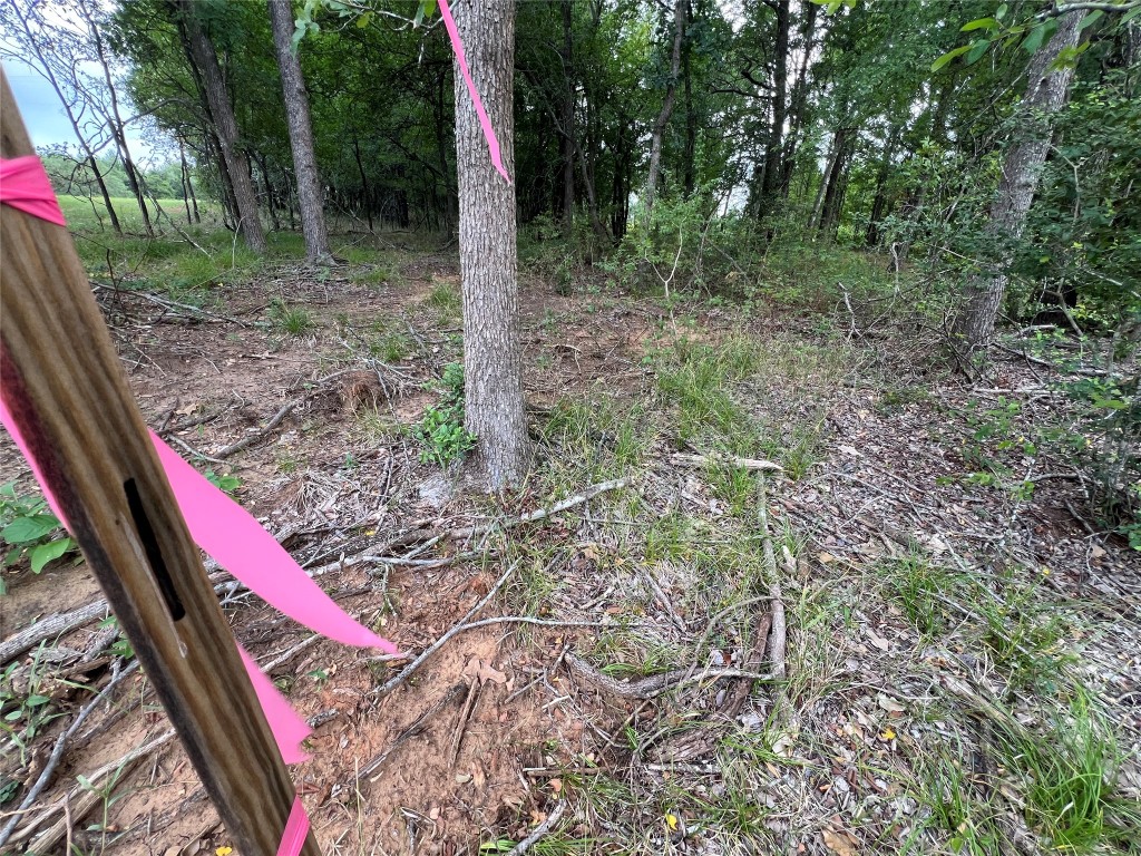 3000 Tract 1 Elgin, TX 78621 - Photo 7 of 18 a view of outdoor space