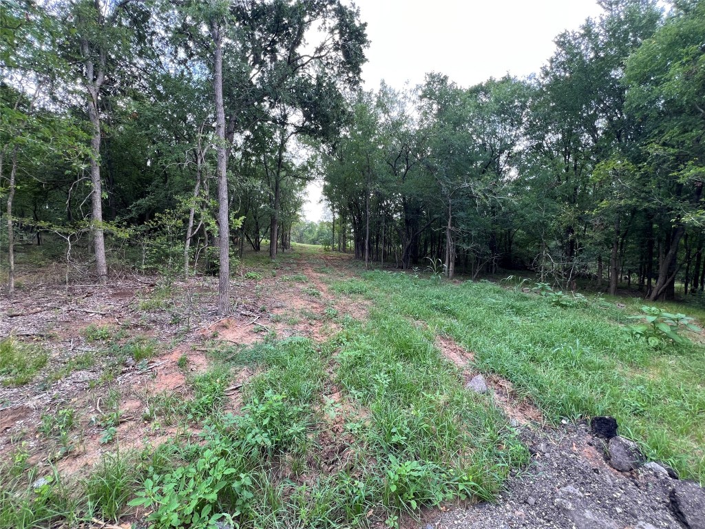 3000 Tract 1 Elgin, TX 78621 - Photo 9 of 18 a view of a backyard with trees