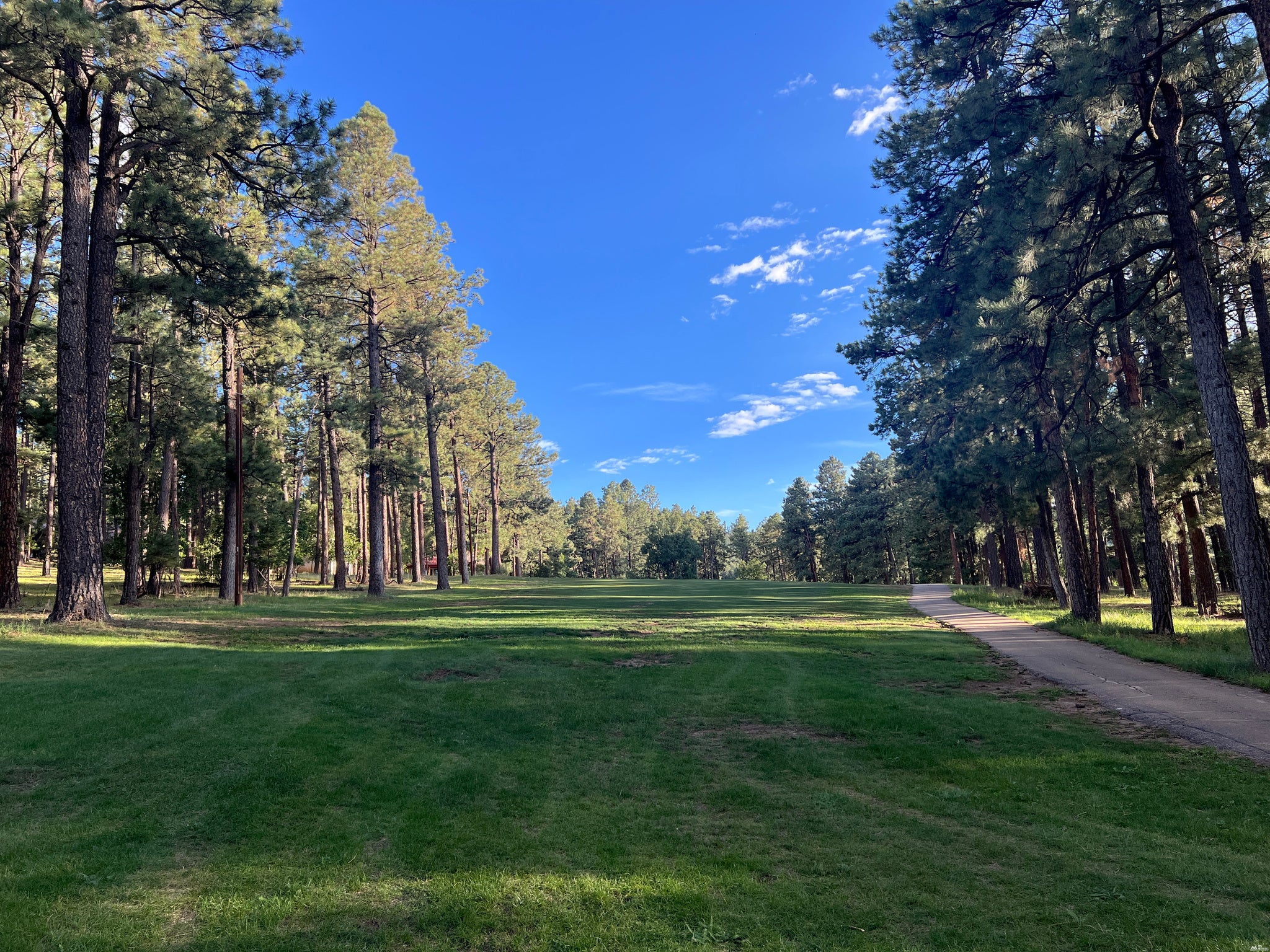 4 East Forest Drive Rociada, NM 87742 - Photo 28 of 33 Gallery Image 28