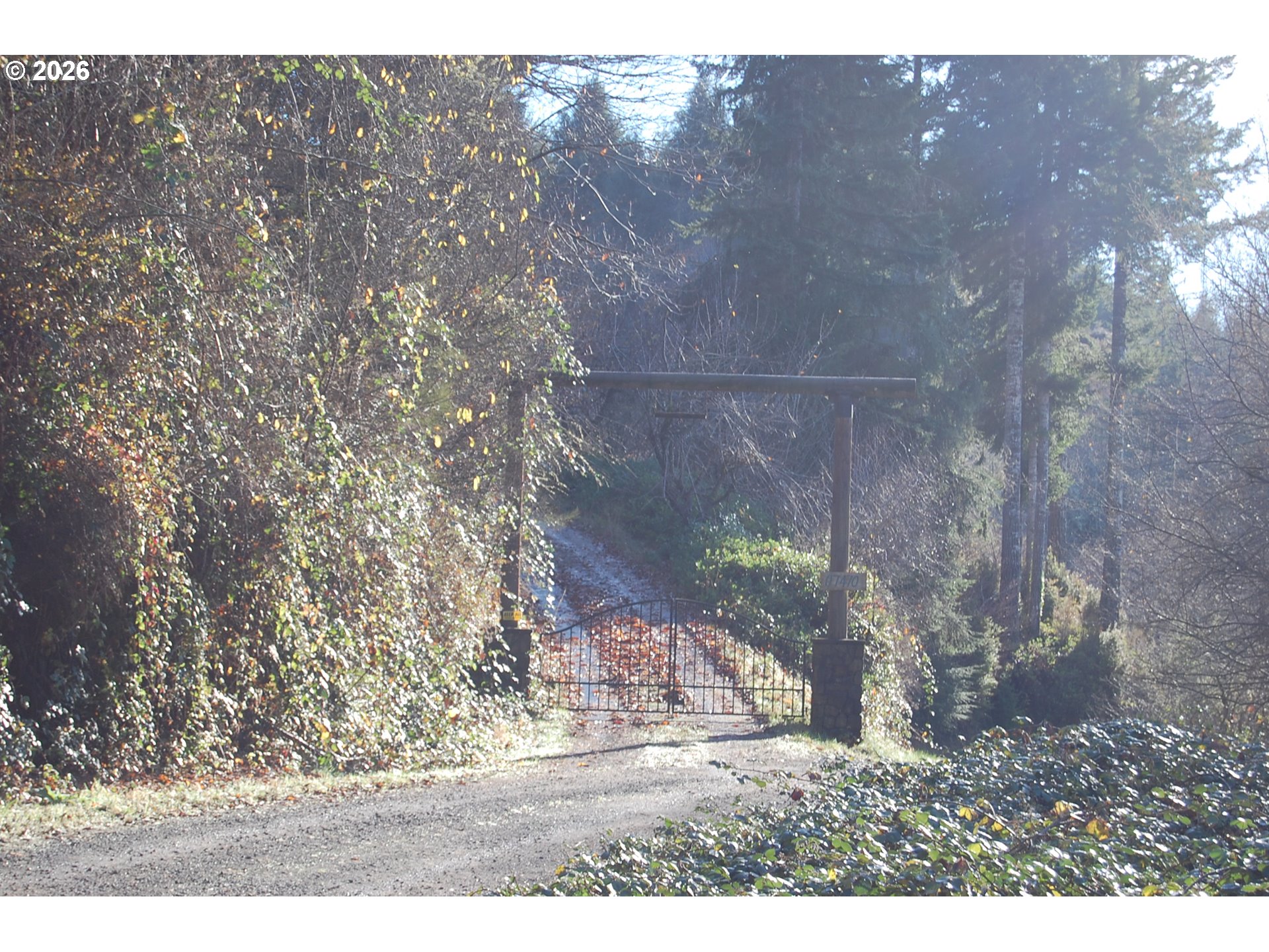 7470 Maple Creek Road Westlake, OR 97493 - Photo 4 of 33 a backyard of a house