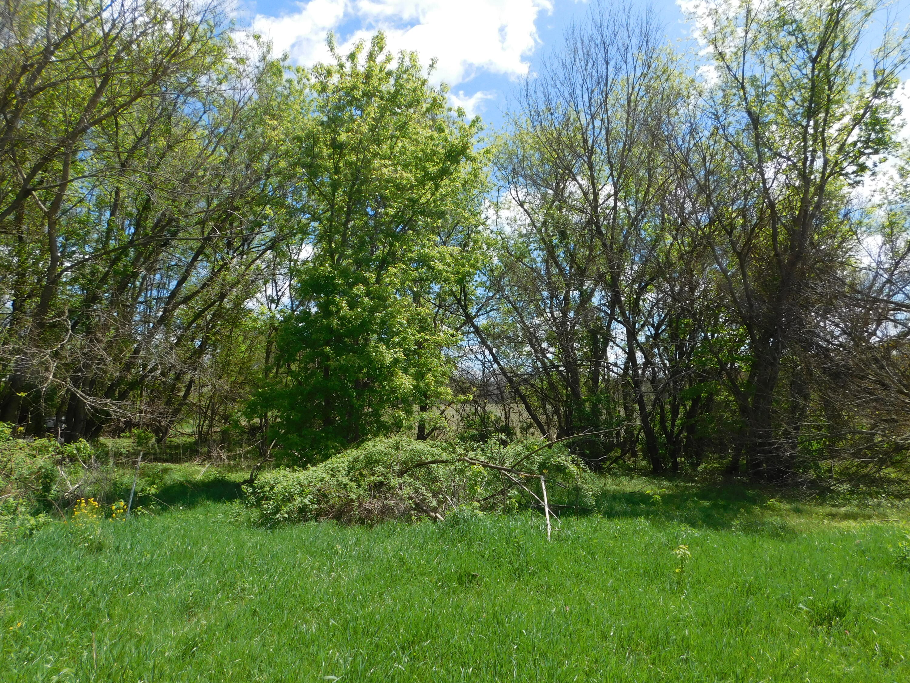 64277 Union Road Vandalia, MI 49095 - Photo 16 of 27 DSCN8591