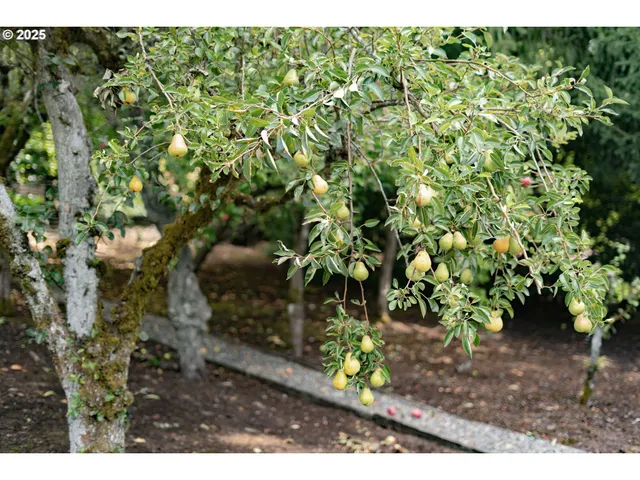 an aerial view of a house with a yard basket ball court and outdoor seating