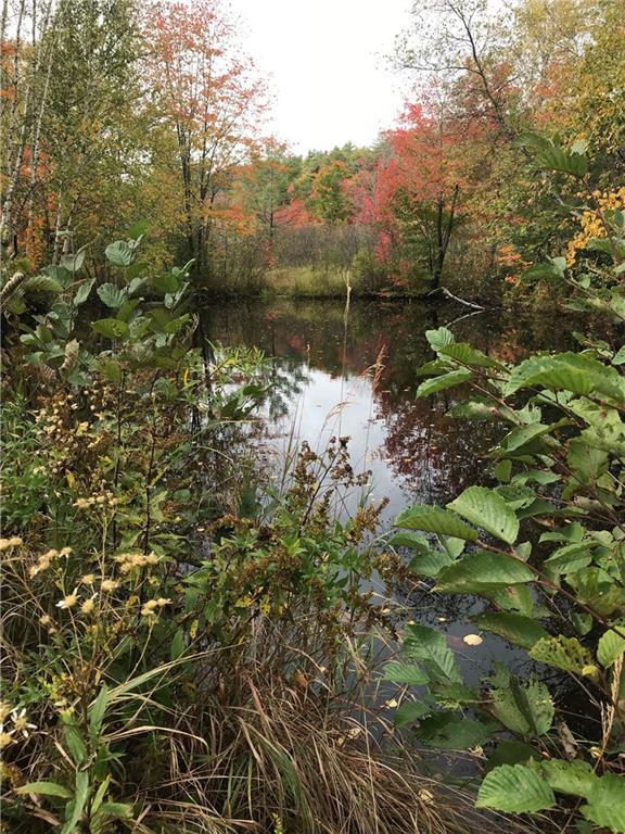 0 Bog Road Bethel, ME 04217 - Photo 6 of 17 Photo