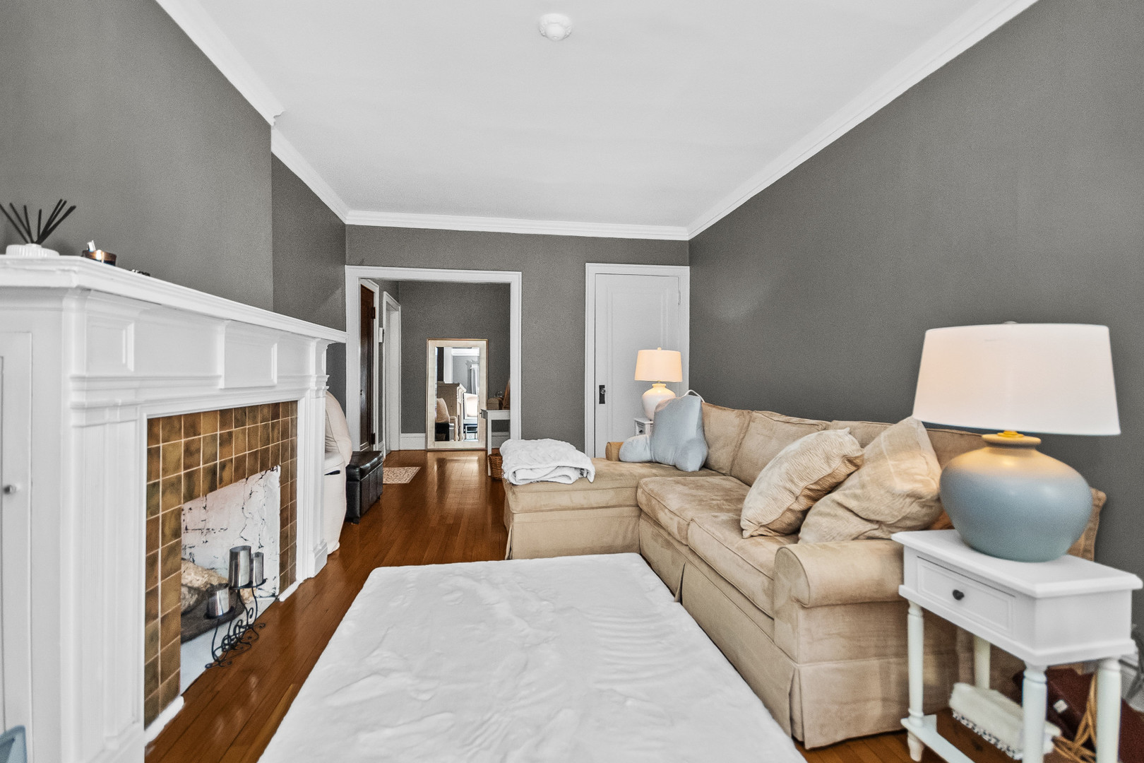 212 North Oak Park Avenue, Unit 2EE Oak Park, IL 60302 - Photo 2 of 15 a living room with furniture and a fireplace