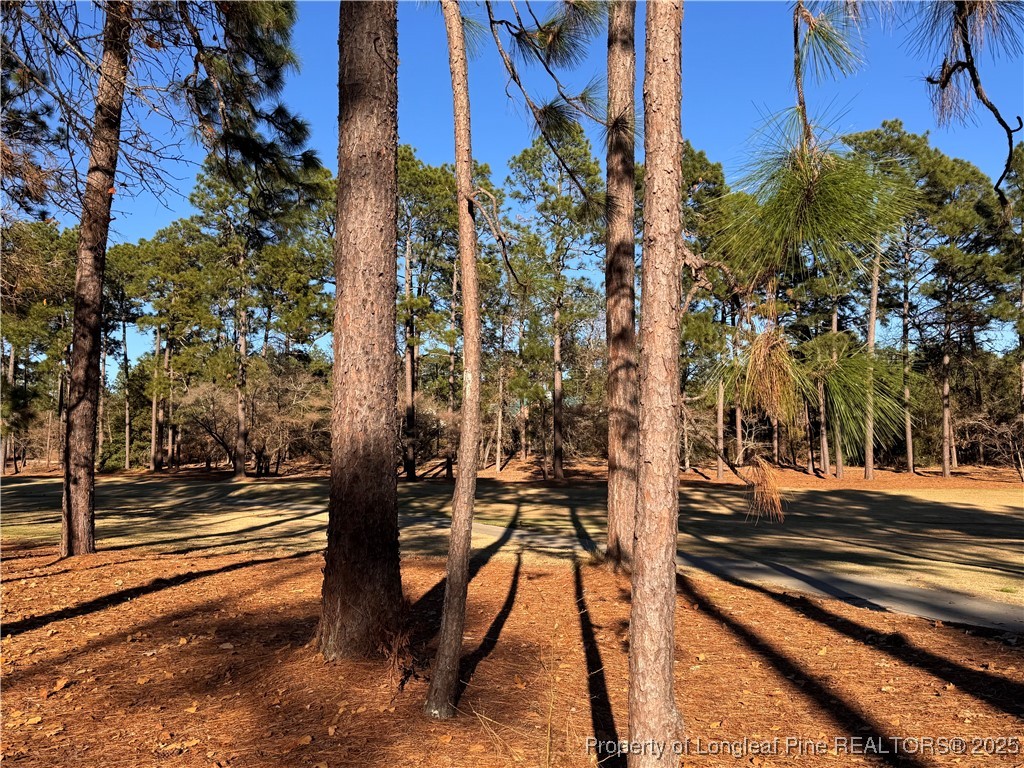 45 Beckett Ridge Pinehurst, NC 28374 - Photo 24 of 25 a view of a street with sitting area