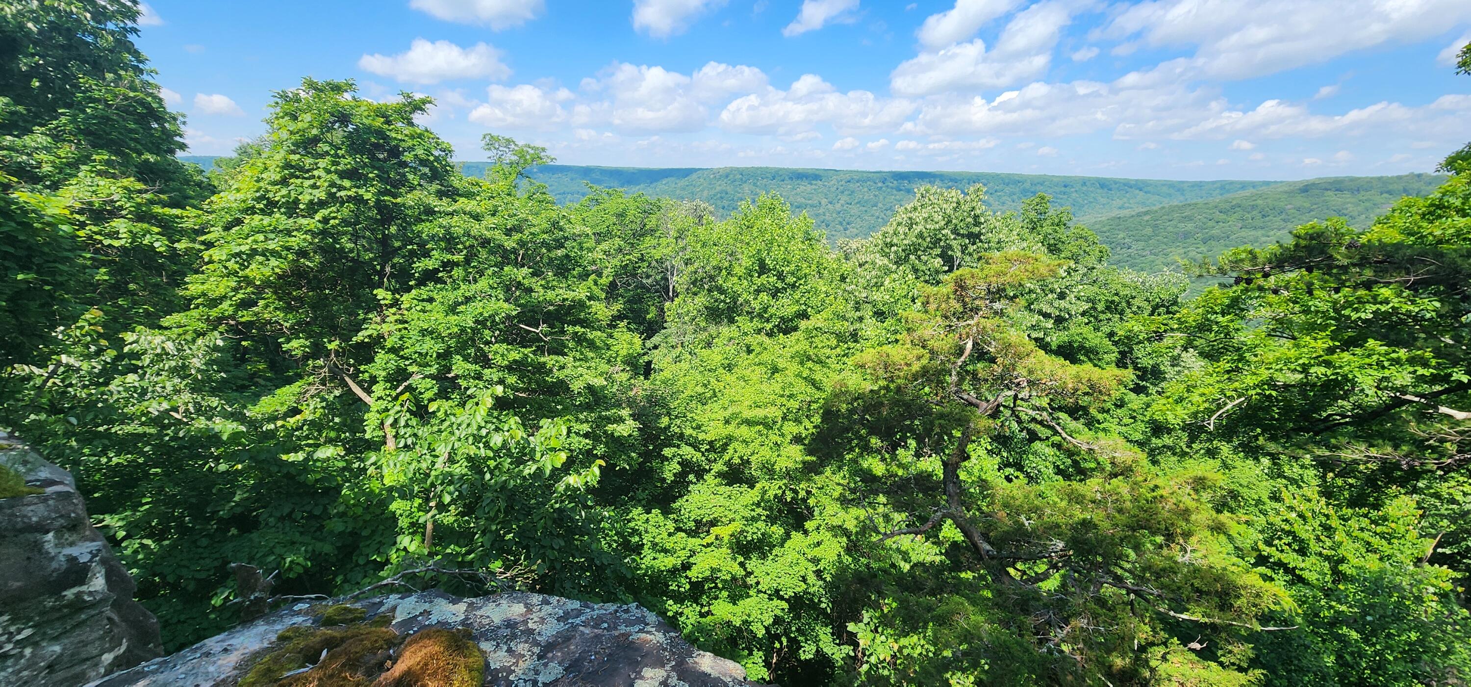 0 Roth Point Road, Unit 5 Altamont, TN 37301 - Photo 23 of 53 1000052013