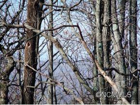 Lot #4 Miller Mountain Road Saluda, NC 28773 - Photo 2 of 3 Gallery Image 2