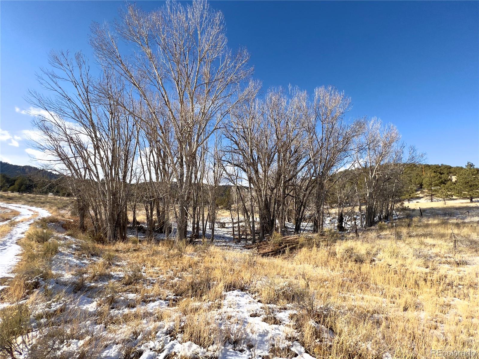 9091 Co Road Westcliffe, CO 81252 - Photo 6 of 47 Gallery Image 6