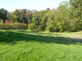 3114 Ridge Road Ford City, PA 16226 - Photo 14 of 18 Land/Lot.