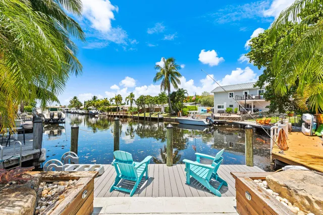a view of a lake with boats and palm trees