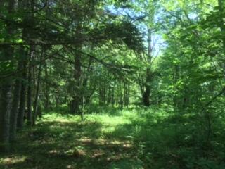 1194 Norway Road Waterford, ME 04088 - Photo 33 of 35 1194 A